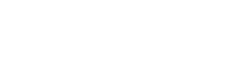 Cortex