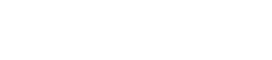 Oasis Security
